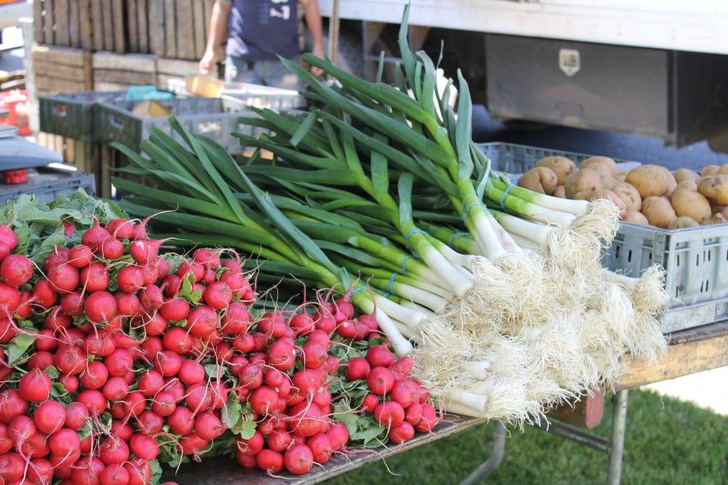 Fresh vegetables on table outdoors